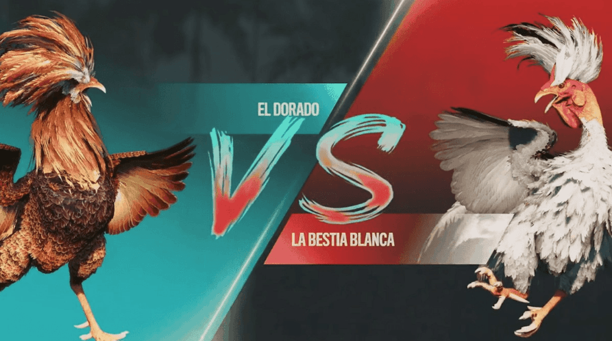 26a Login jogos Plataforma